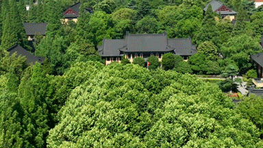 笃学致美：南京师范大学120周年美术教育艺术作品展在北京中国美术馆举办(图3)