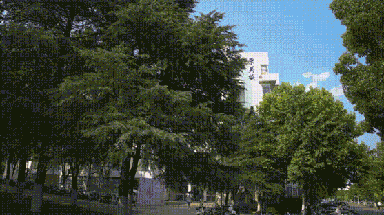 笃学致美：南京师范大学120周年美术教育艺术作品展在北京中国美术馆举办(图22)