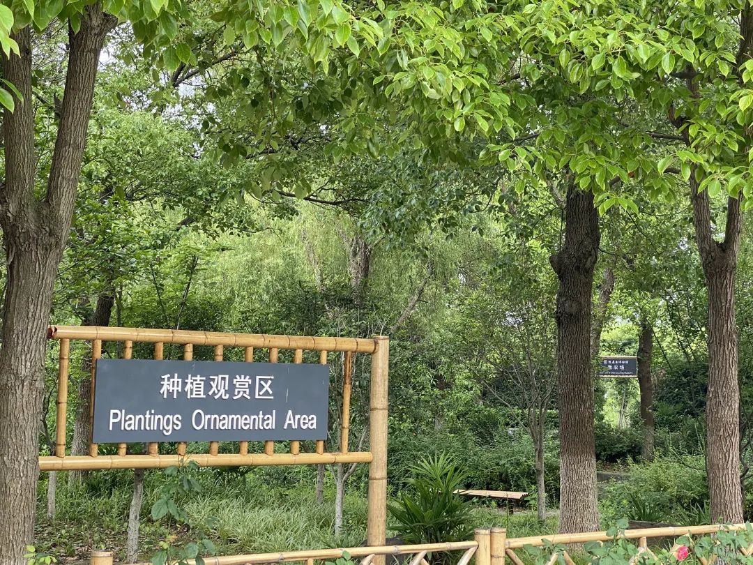 乡村博物馆的“当代叙事”之我见(图10)