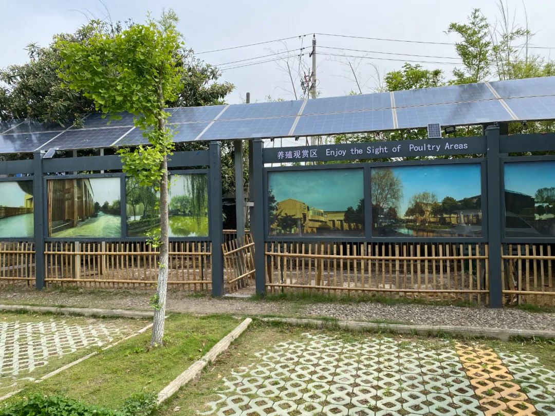 乡村博物馆的“当代叙事”之我见(图9)