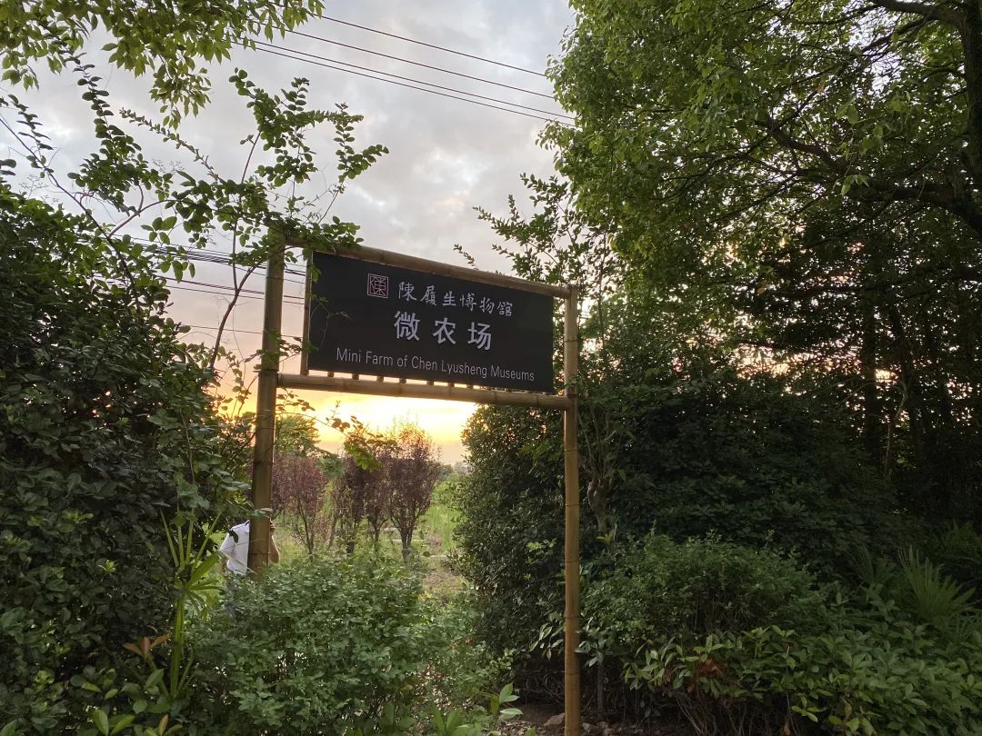 乡村博物馆的“当代叙事”之我见(图11)