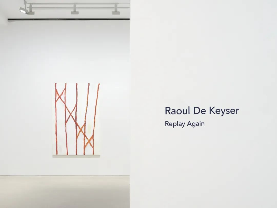 拉乌尔·德·凯泽:拒绝赋予作品宏大的意义(图27)