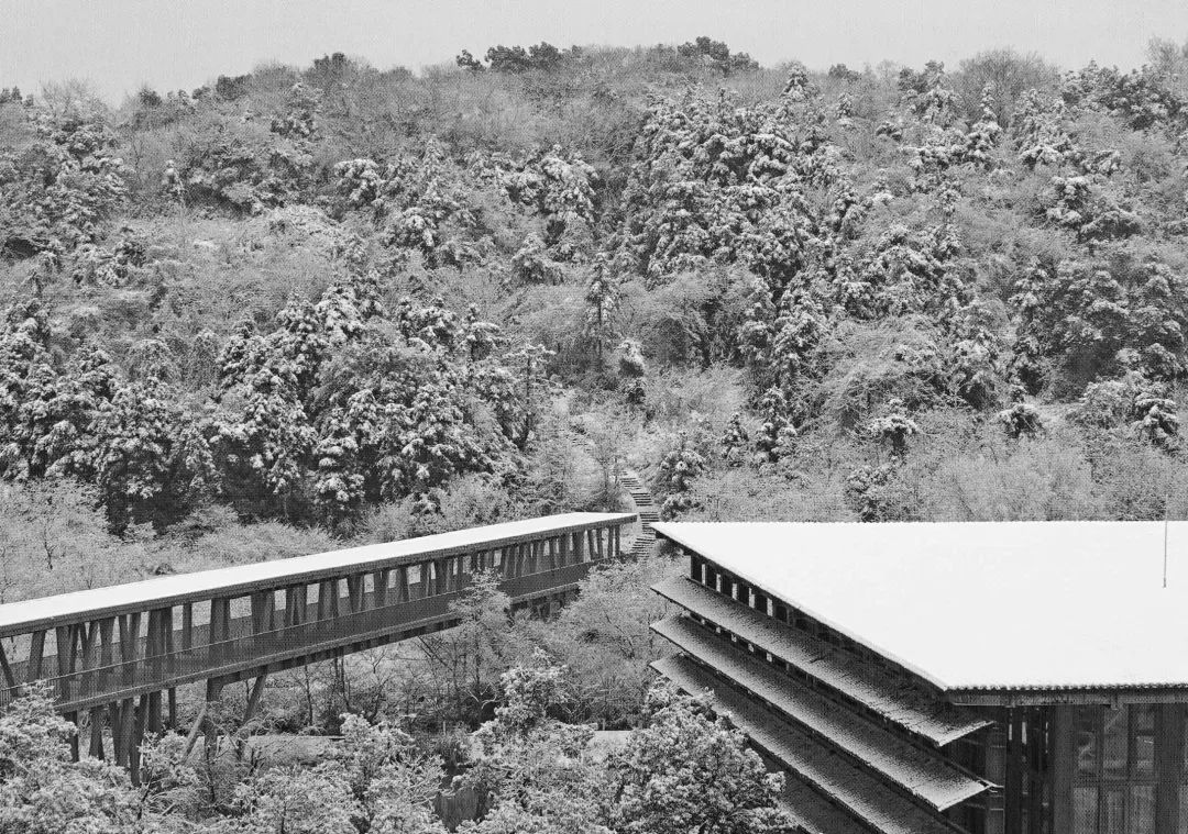 许江：一座校园的建造(图4)