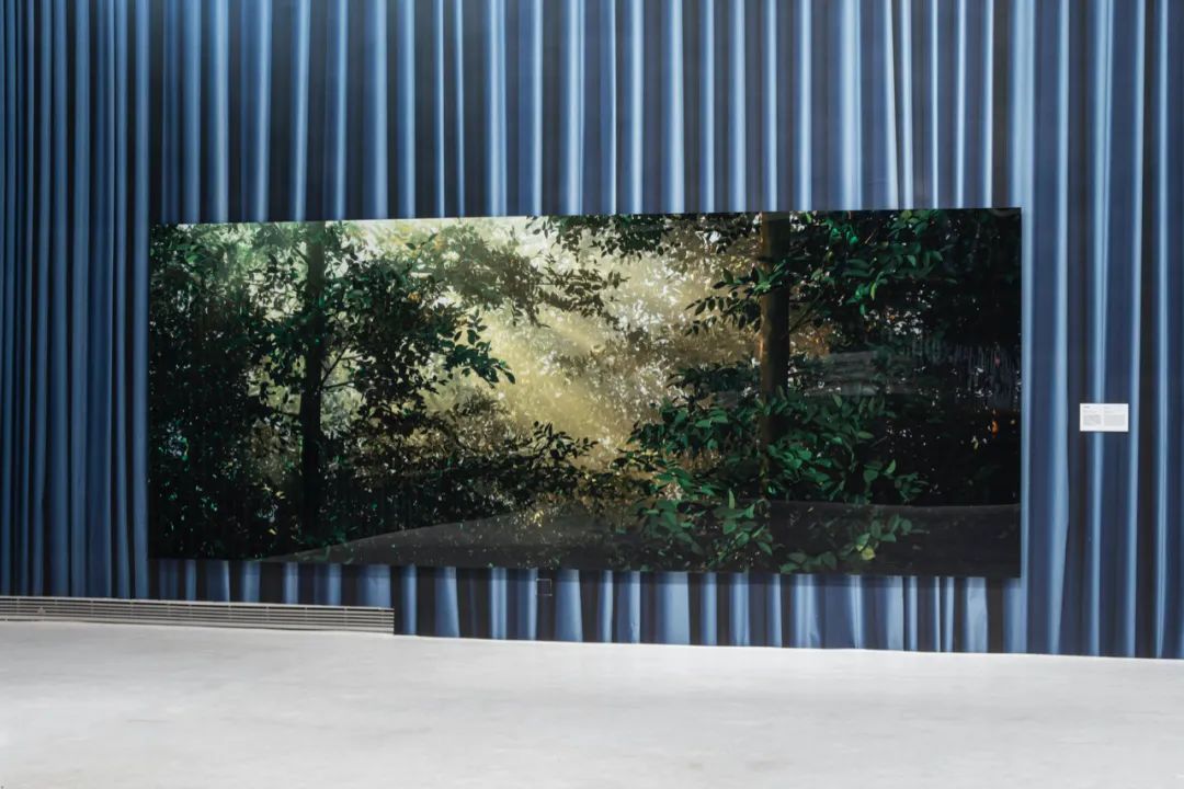 用纸创作30年，模糊现实与虚构||托马斯·迪曼德中国首个大展(图6)