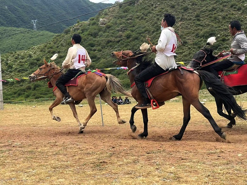 首发|壮哉！艺术家王成川藏线2160公里骑行纪实（五）(图14)