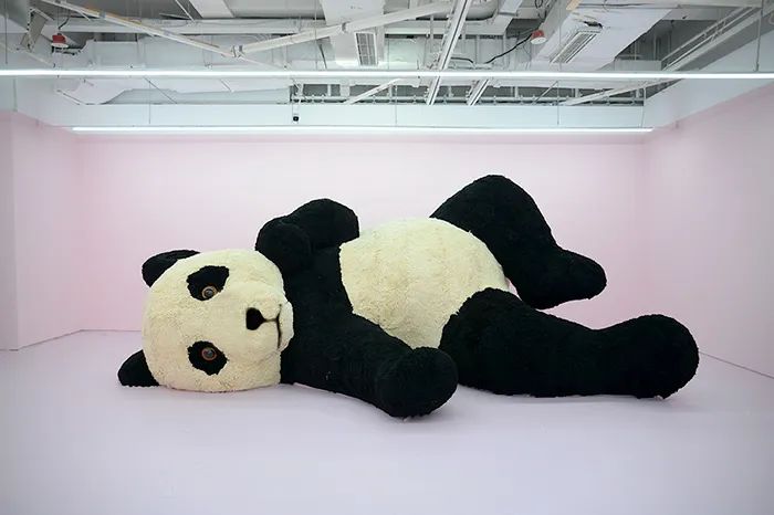 大黄鸭来了：我的创作是一种比喻，与动物本身无关(图9)