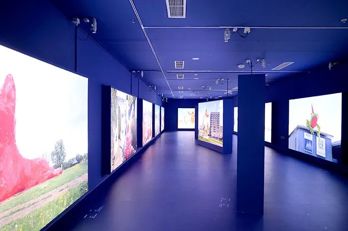 大黄鸭来了：我的创作是一种比喻，与动物本身无关(图30)