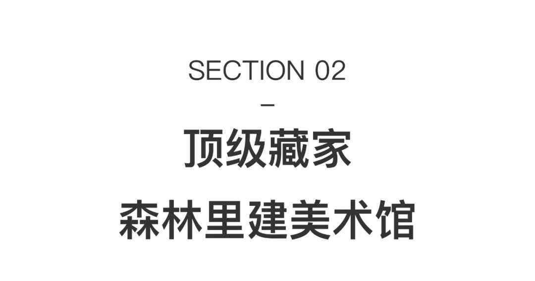 艺术之离开美术馆直接与自然发生联系(图14)