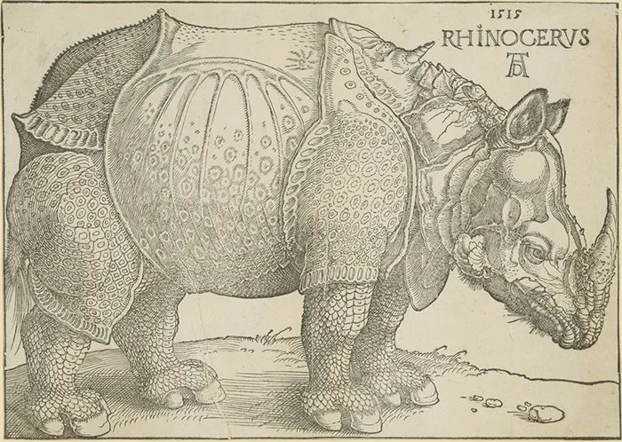 西方木刻版画六百年，不止有丢勒的《犀牛》(图1)