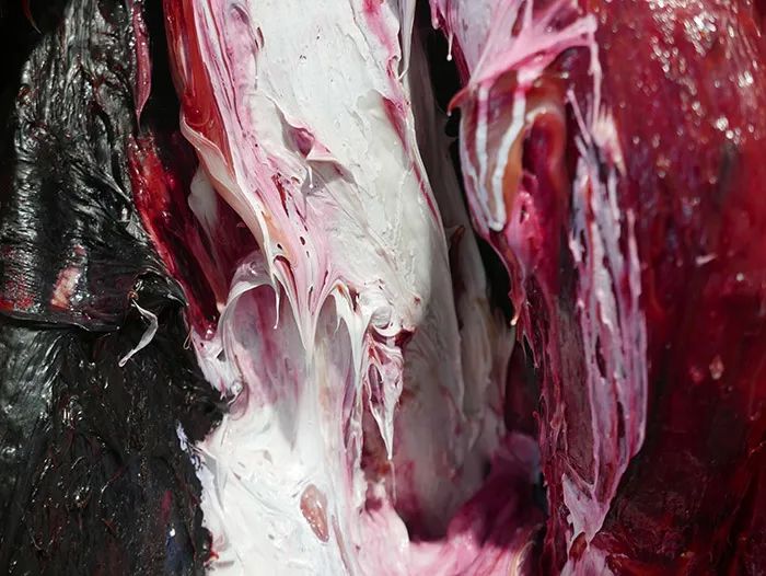 安尼施·卡普尔：在生命的肌理中感悟崇高(图7)