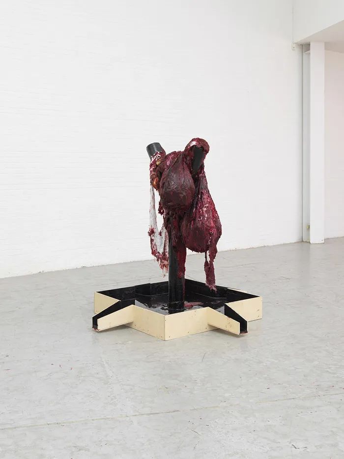 安尼施·卡普尔：在生命的肌理中感悟崇高(图15)