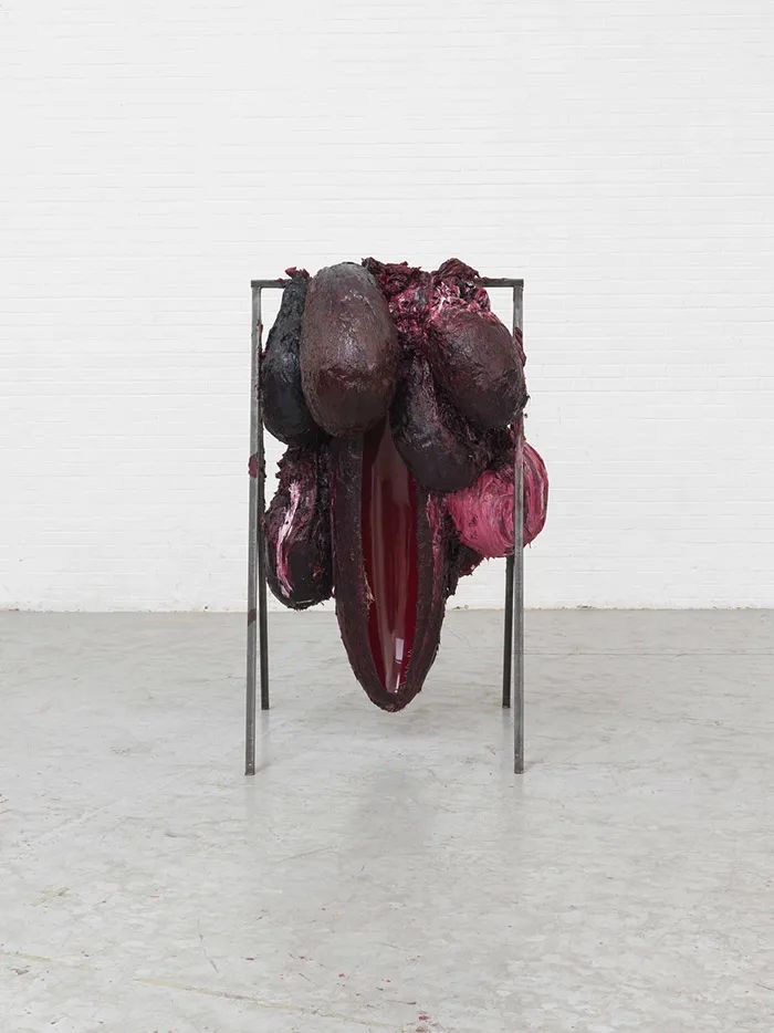 安尼施·卡普尔：在生命的肌理中感悟崇高(图16)