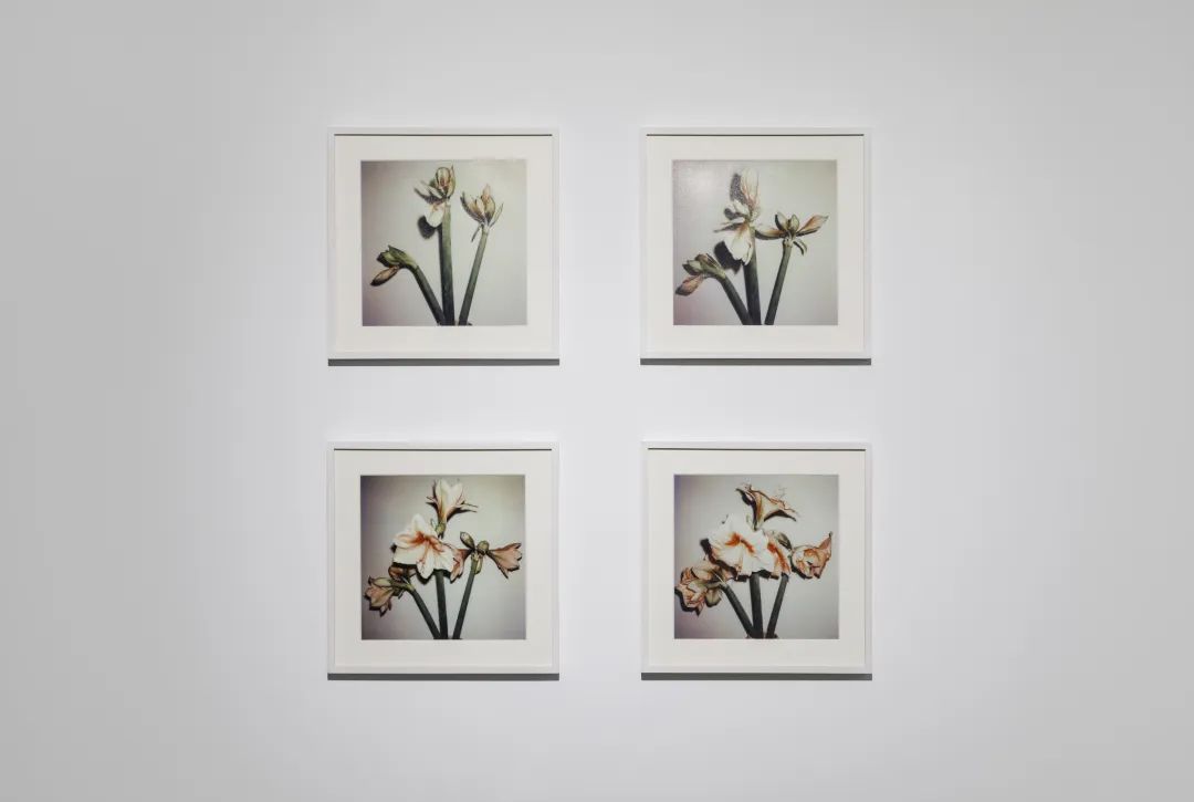 行为艺术之父乌雷,亚洲首展北京开幕(图36)