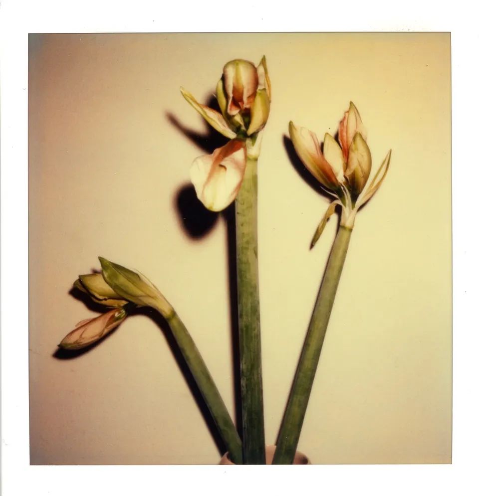 行为艺术之父乌雷,亚洲首展北京开幕(图37)