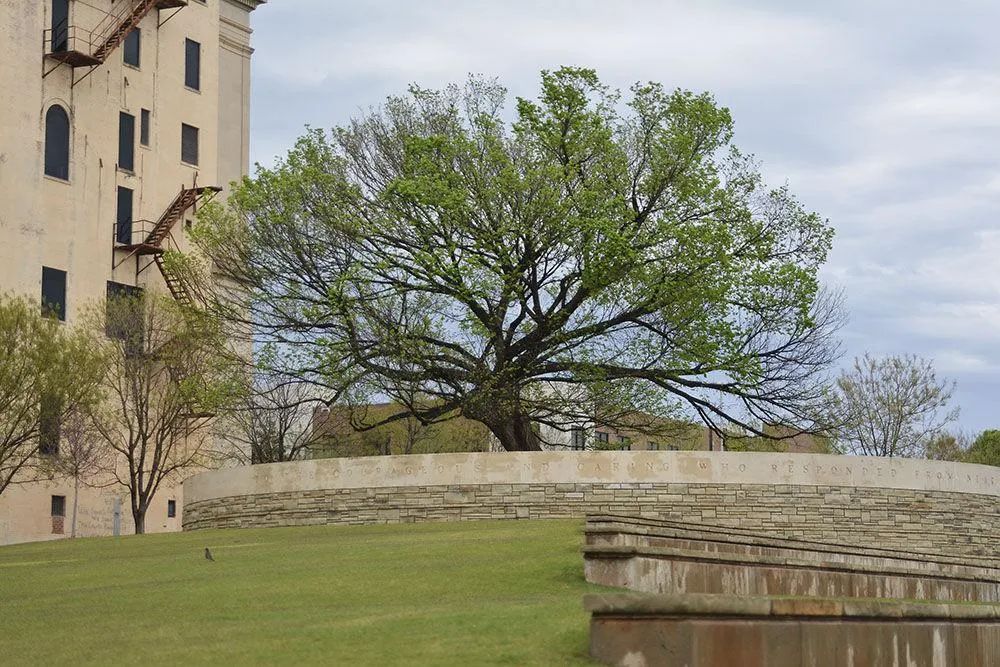 观察|公共艺术的暴力编码(图10)