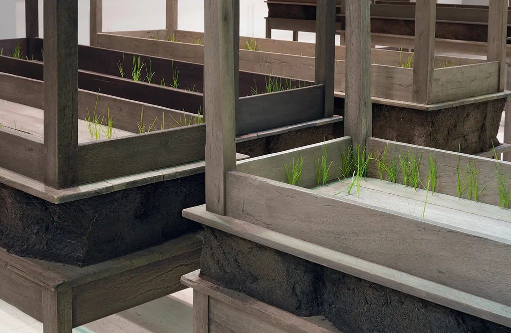 观察|公共艺术的暴力编码(图15)