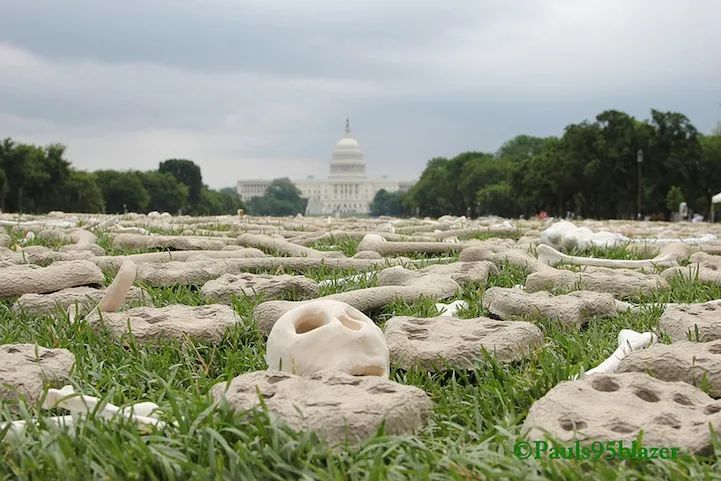 观察|公共艺术的暴力编码(图20)