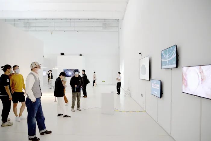 北京时代美术馆 | 沉浸式体验、动态交互,2022亚洲数字艺术展(图6)