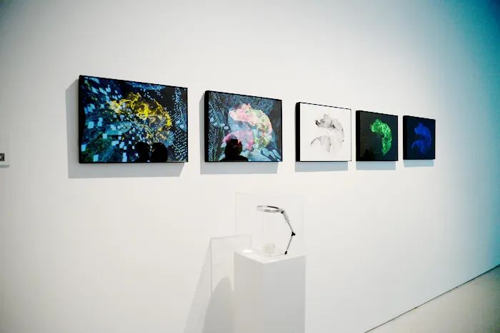 北京时代美术馆 | 沉浸式体验、动态交互,2022亚洲数字艺术展(图25)