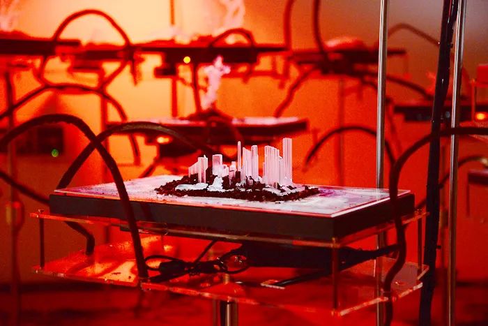 北京时代美术馆 | 沉浸式体验、动态交互,2022亚洲数字艺术展(图24)
