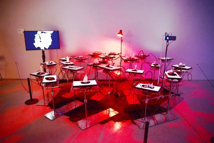 北京时代美术馆 | 沉浸式体验、动态交互,2022亚洲数字艺术展(图23)
