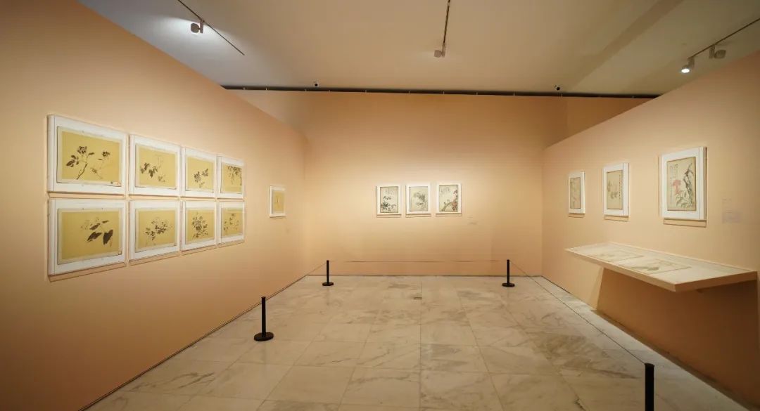 莫忘初业第一程——早期北平艺专的国画课堂(图25)