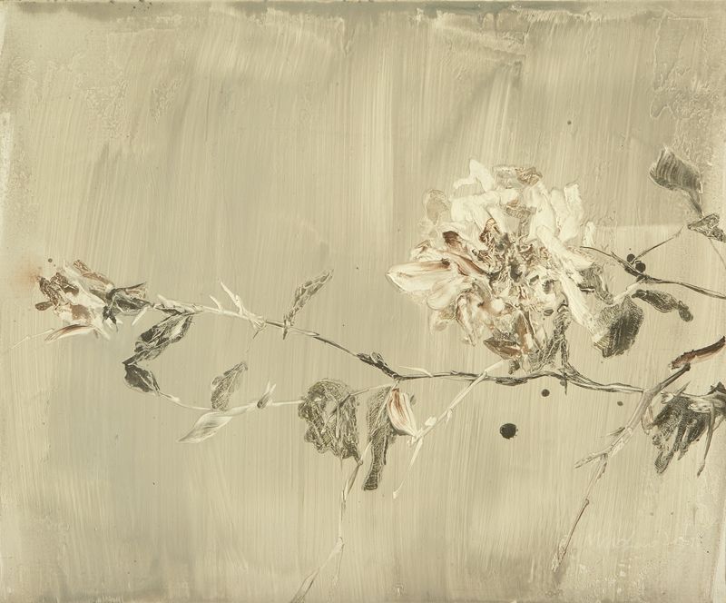 2023新春艺术家作品展览季 | 张慕超，在时光里缱绻着的花瓣寓意 (图20)