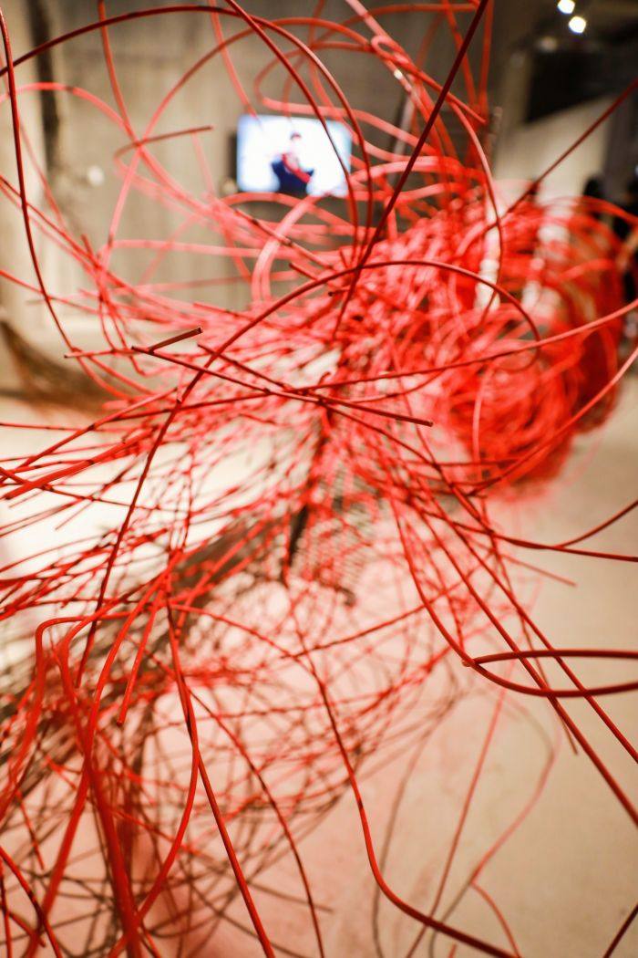 2023中国美术学院毕业季：3000余件作品共同绽放“大脑花园”(图19)