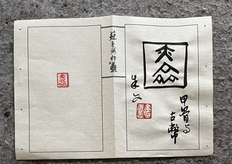 与苏金海先生合刻印章——盋山印友端午雅集(图9)