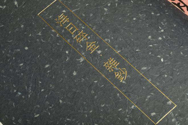 书讯 | 沈曾植逝世100年后，大批珍贵手稿首次刊行——《沈曾植遗墨集》问世(图14)
