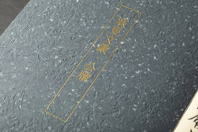 书讯 | 沈曾植逝世100年后，大批珍贵手稿首次刊行——《沈曾植遗墨集》问世(图42)