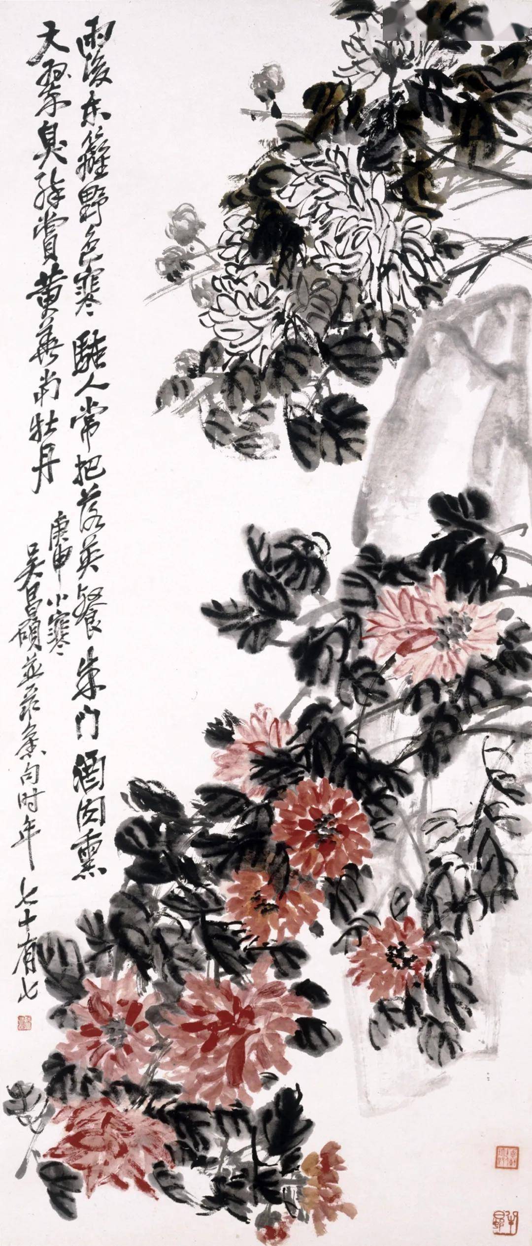 吴昌硕《花卉卷》三卷欣赏
