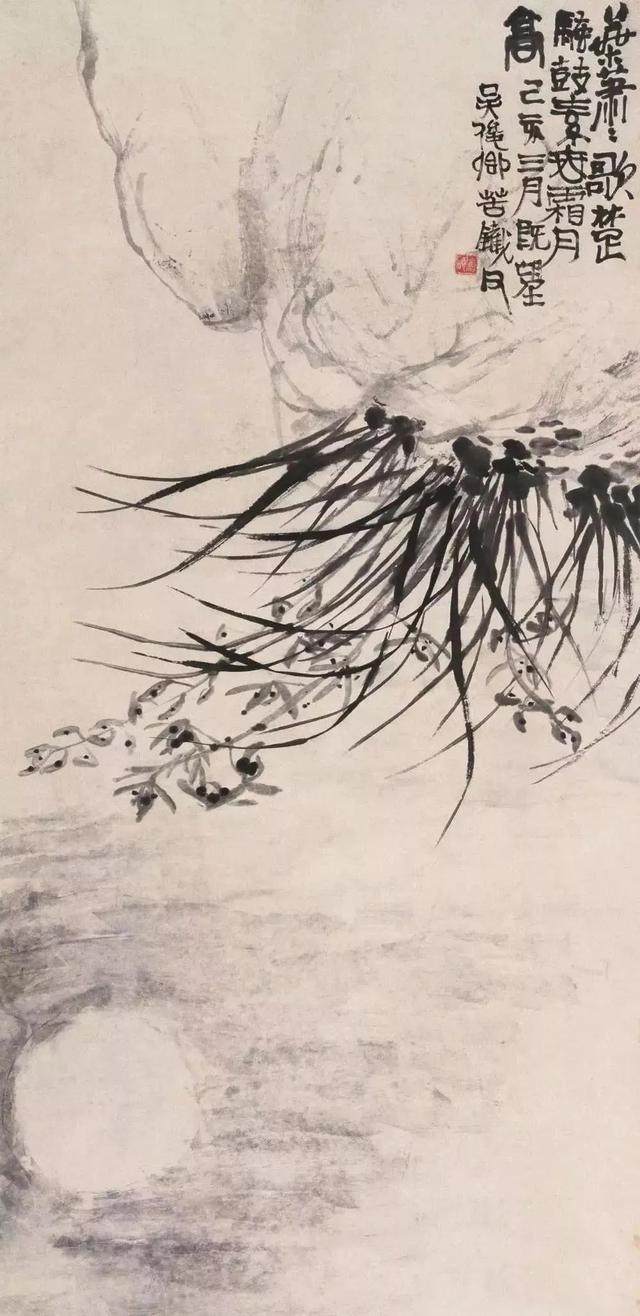 兰花(图3)