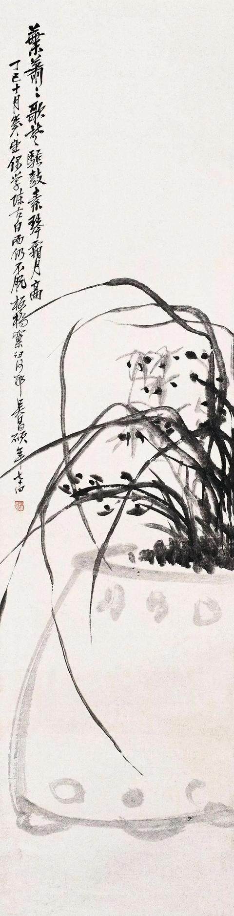 兰花(图5)