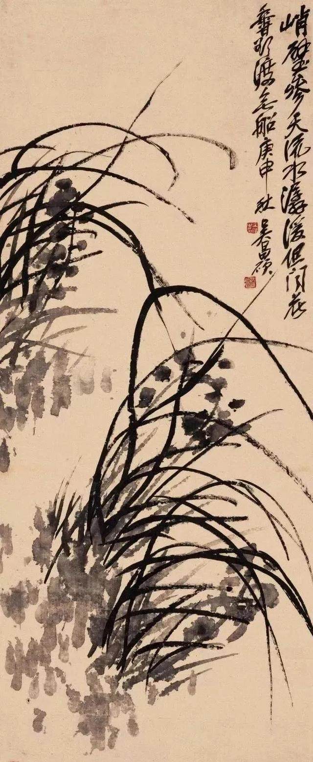 兰花(图6)