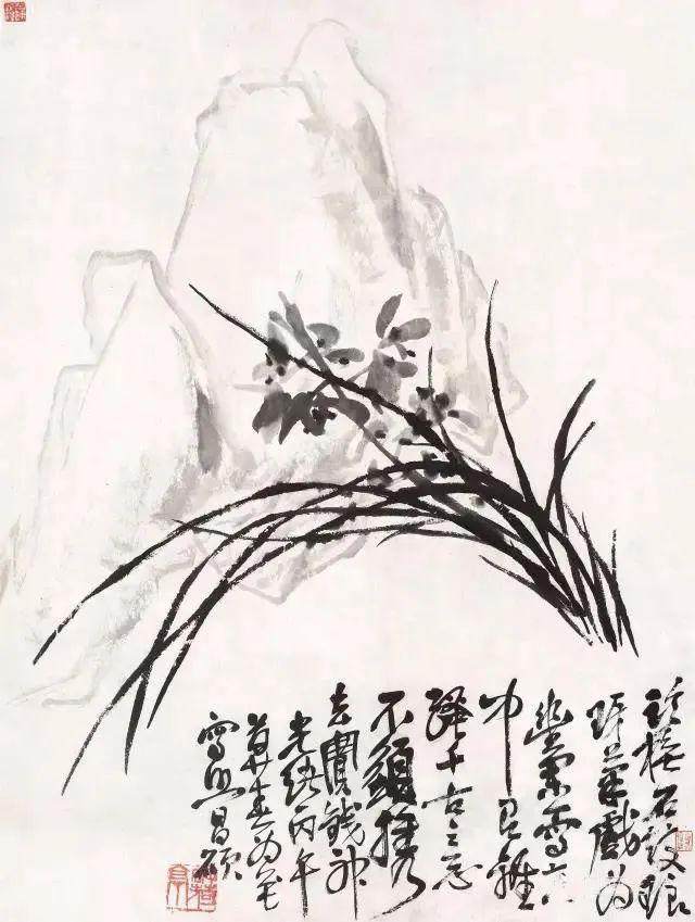 兰花(图4)