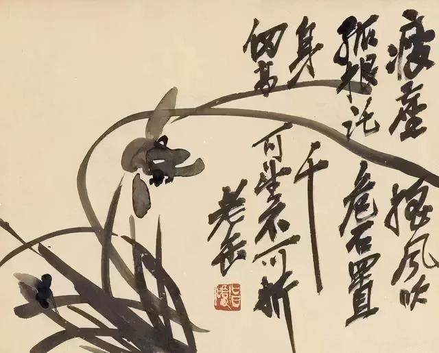 兰花(图11)