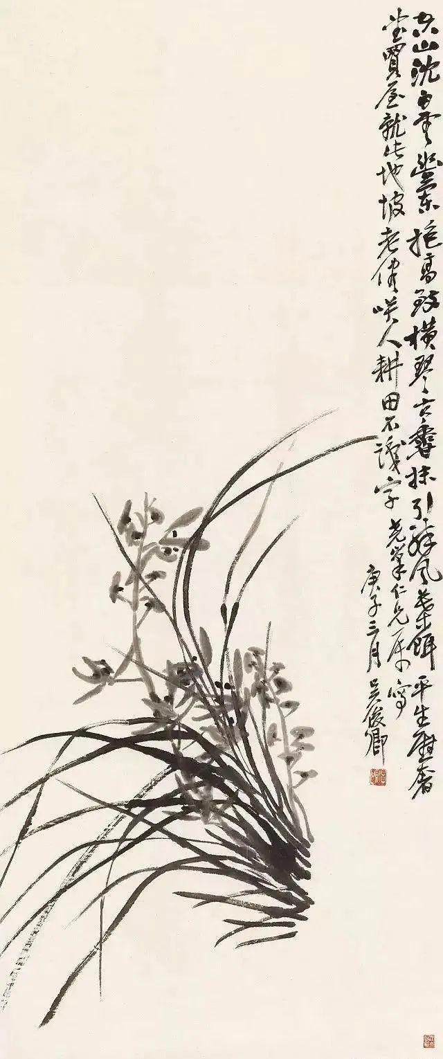 兰花(图12)