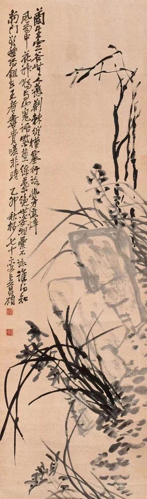 兰花(图13)