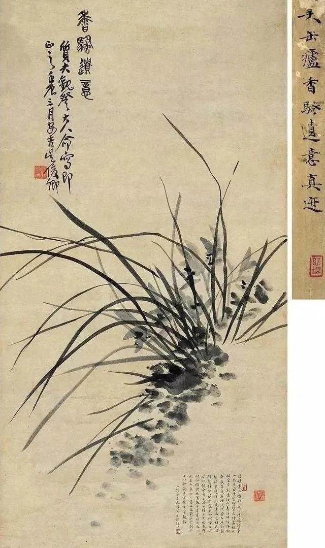 兰花(图19)
