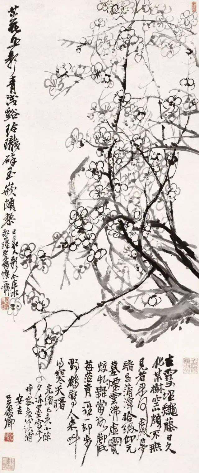 赏梅 | 潜龙何处 香雪留春 超山宋梅旁长眠的吴昌硕(图26)