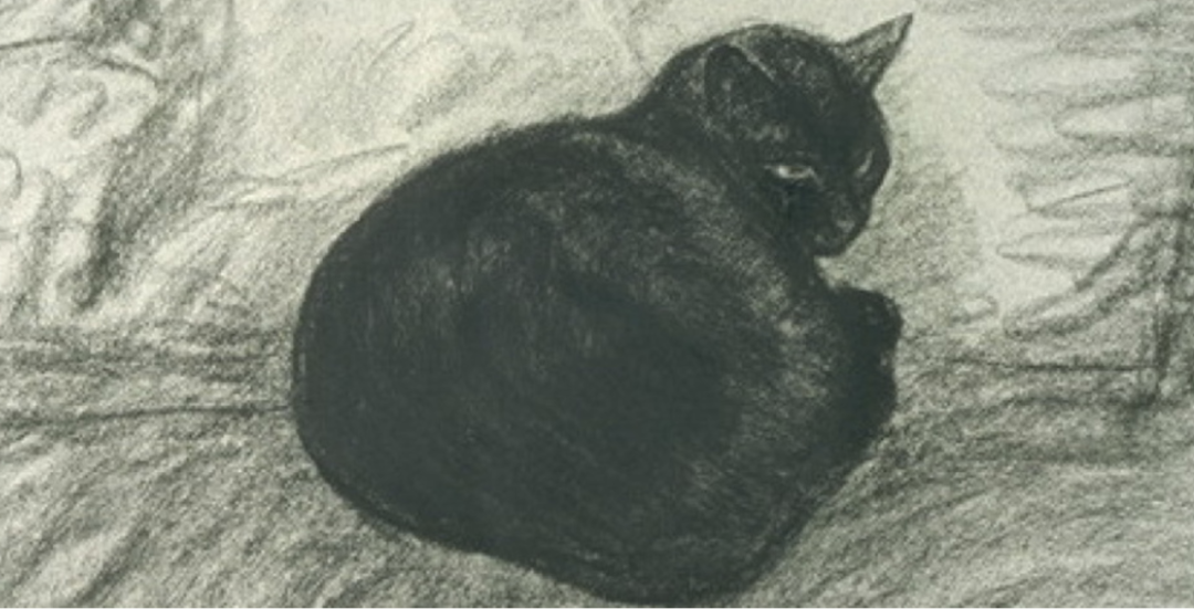 艺讯|全球艺术节展资讯精选(图23)