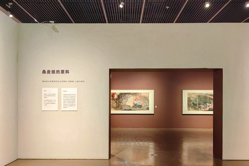 桑皮纸上的中国画3-.jpg