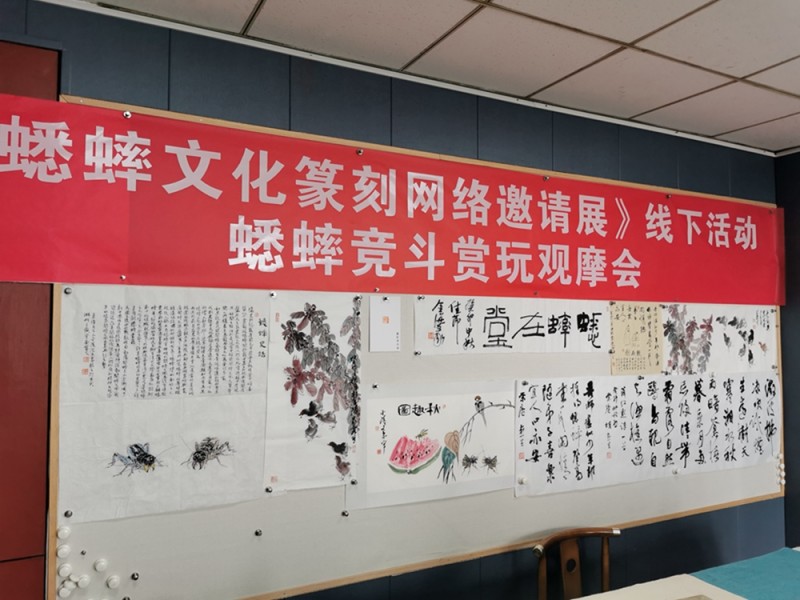 蟋蟀在堂——南京举办蟋蟀竞斗赏玩观摩会(图13)