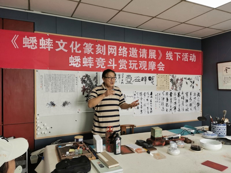 蟋蟀在堂——南京举办蟋蟀竞斗赏玩观摩会(图21)