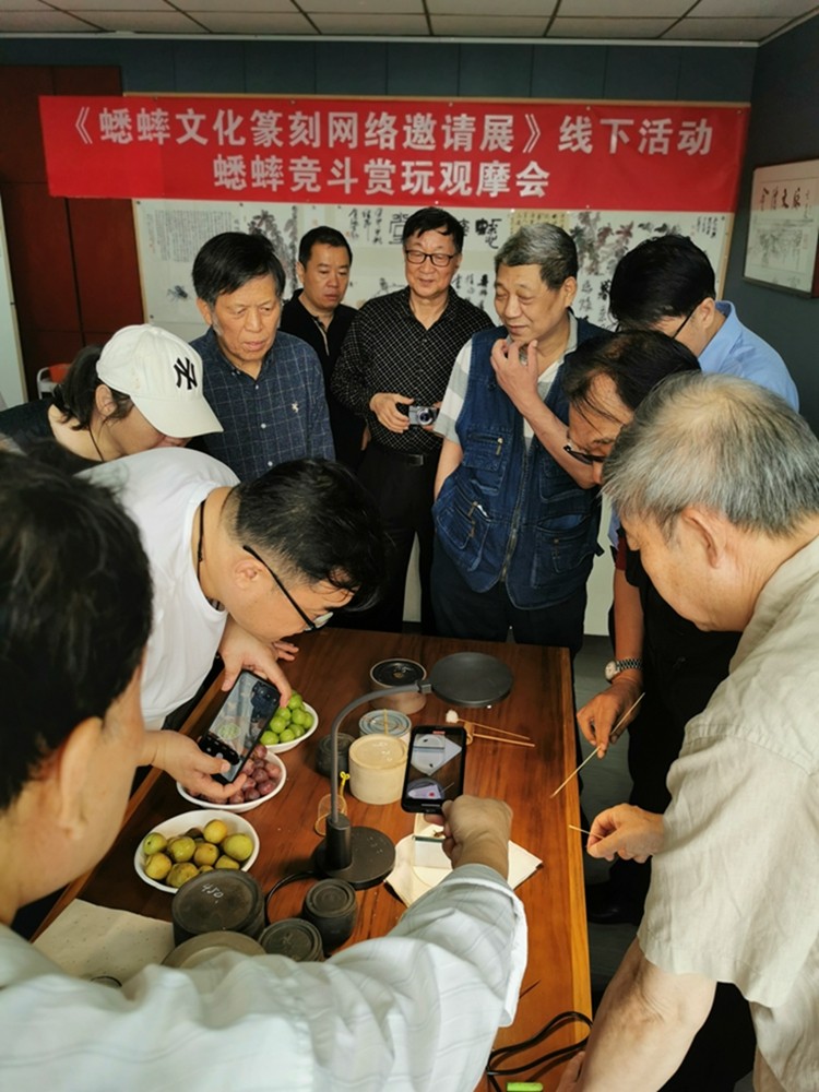 蟋蟀在堂——南京举办蟋蟀竞斗赏玩观摩会(图39)