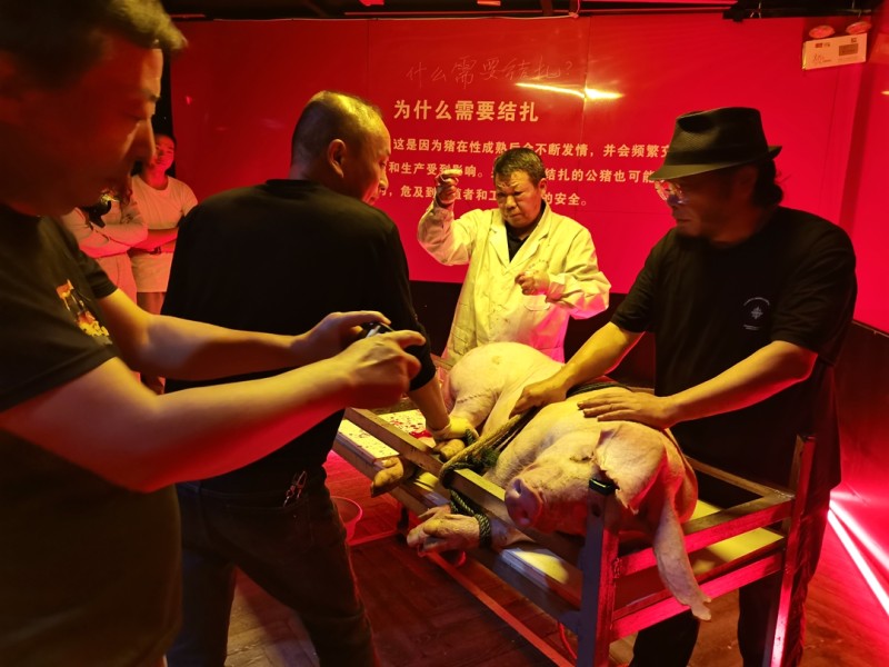 “退烧——南京DPT后当代艺术年度展·第八回”展(图6)
