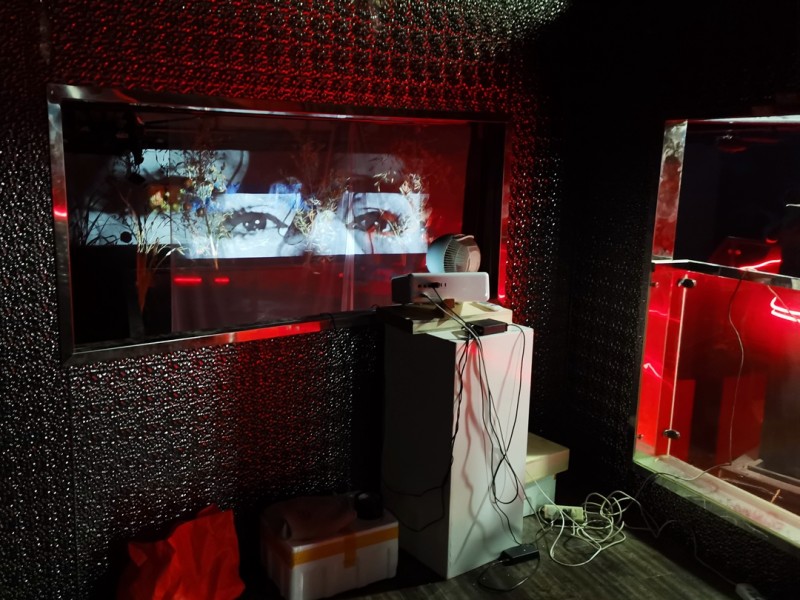 “退烧——南京DPT后当代艺术年度展·第八回”展(图12)