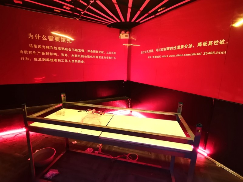 奇点书集 | 退烧——南京DPT后当代艺术年度展·8(图9)