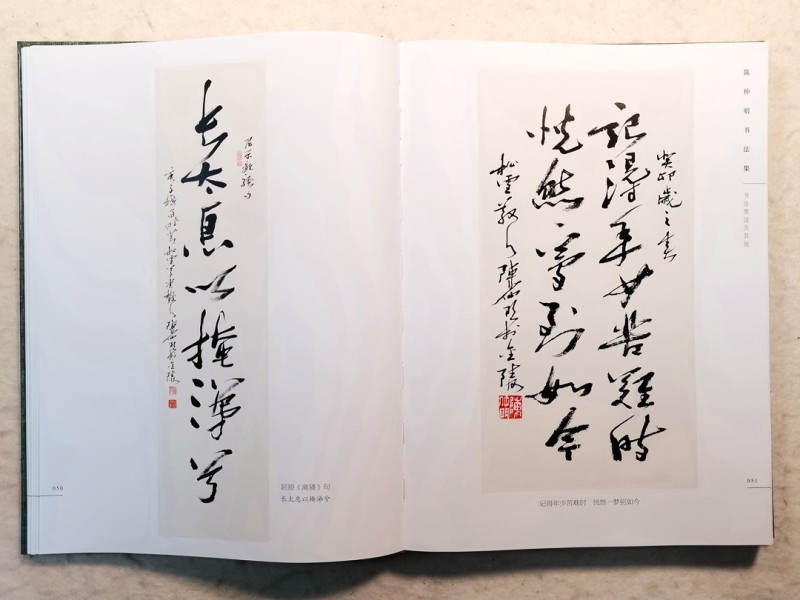 高情灏气翰墨香——《墨痕心迹· 陈仲明书法集》序(图8)